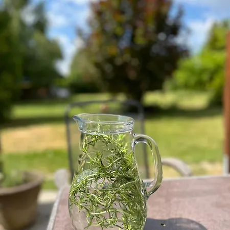 Rozany Dom W Dominikowie